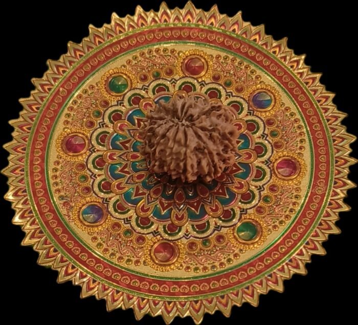 10 Faced Original Nepali Abhimantrit Rudraksha