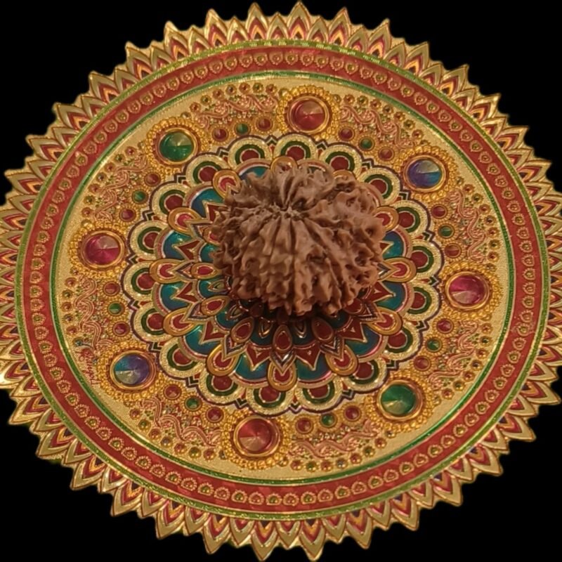 10 Faced Original Nepali Abhimantrit Rudraksha