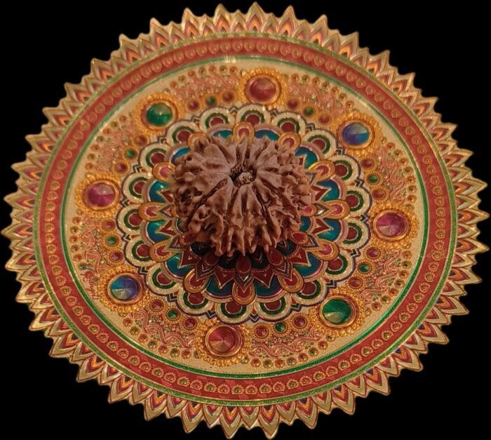 11 Faced Original Nepali Abhimantrit Rudraksha