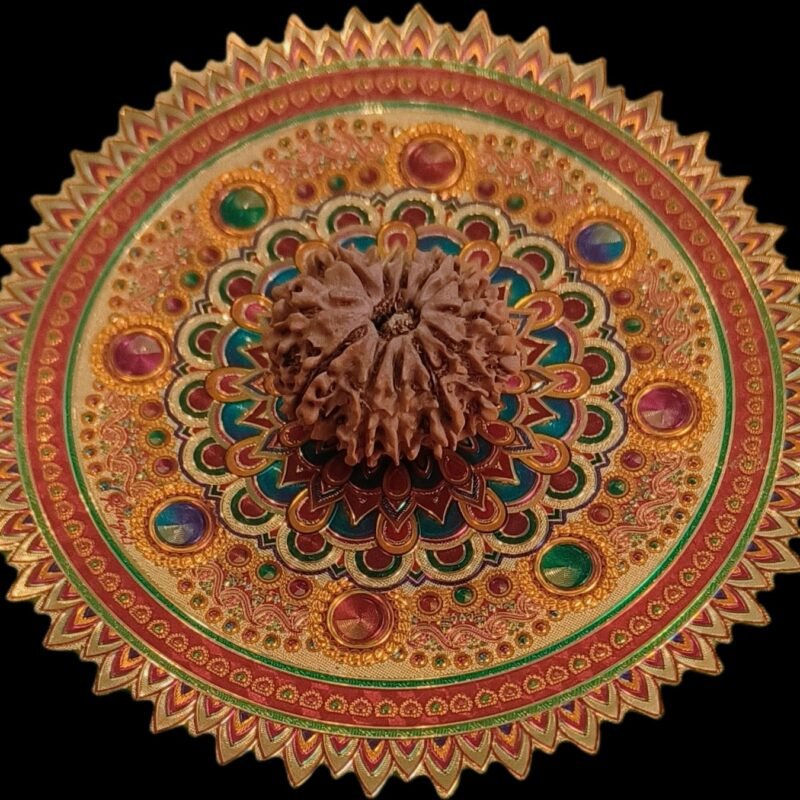 11 Faced Original Nepali Abhimantrit Rudraksha