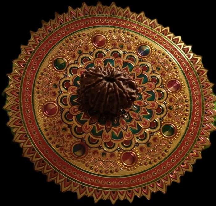 12 Faced Original Nepali Abhimantrit Rudraksha