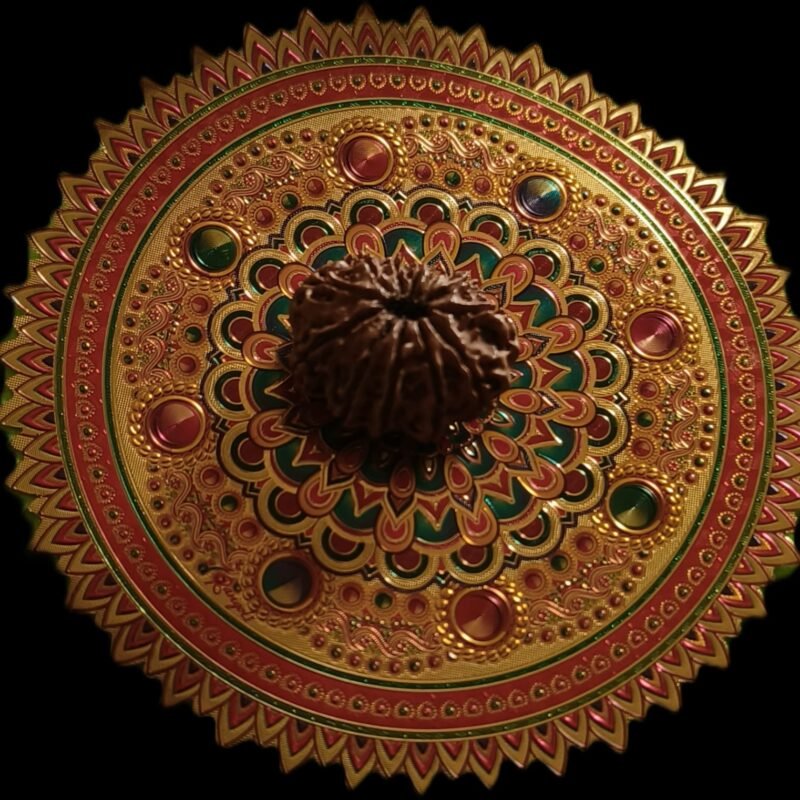 12 Faced Original Nepali Abhimantrit Rudraksha