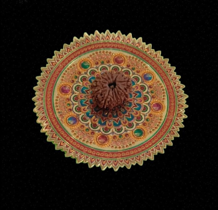 9 Faced Original Nepali Abhimantrit Rudraksha