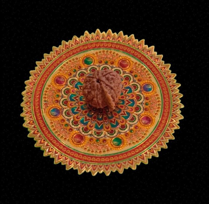 Ganesha Faced Original Nepali Abhimantrit Rudraksha