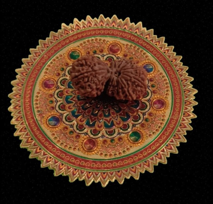 14 Faced Gauri Shankar Original Nepali Abhimantrit Rudraksha
