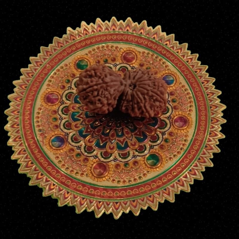 14 Faced Gauri Shankar Original Nepali Abhimantrit Rudraksha