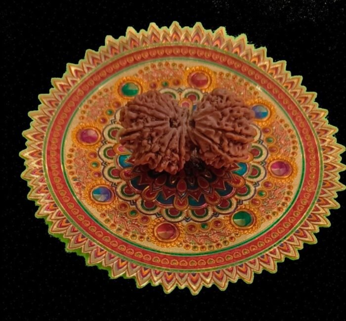 15 Faced Gauri Shankar Original Nepali Abhimantrit Rudraksha