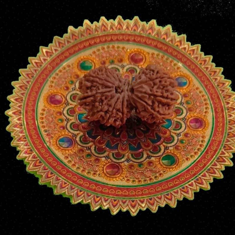 15 Faced Gauri Shankar Original Nepali Abhimantrit Rudraksha