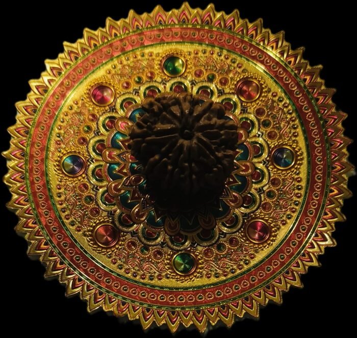 16 Faced Gauri Shankar Original Nepali Abhimantrit Rudraksha