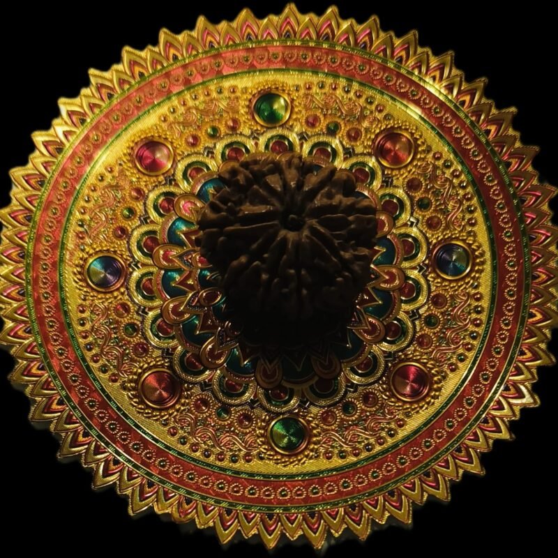16 Faced Gauri Shankar Original Nepali Abhimantrit Rudraksha