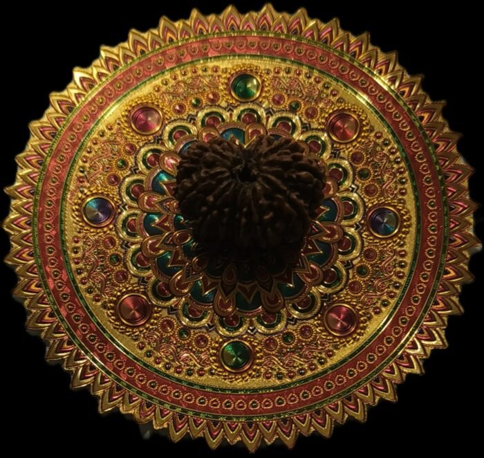 17 Faced Original Nepali Abhimantrit Rudraksha