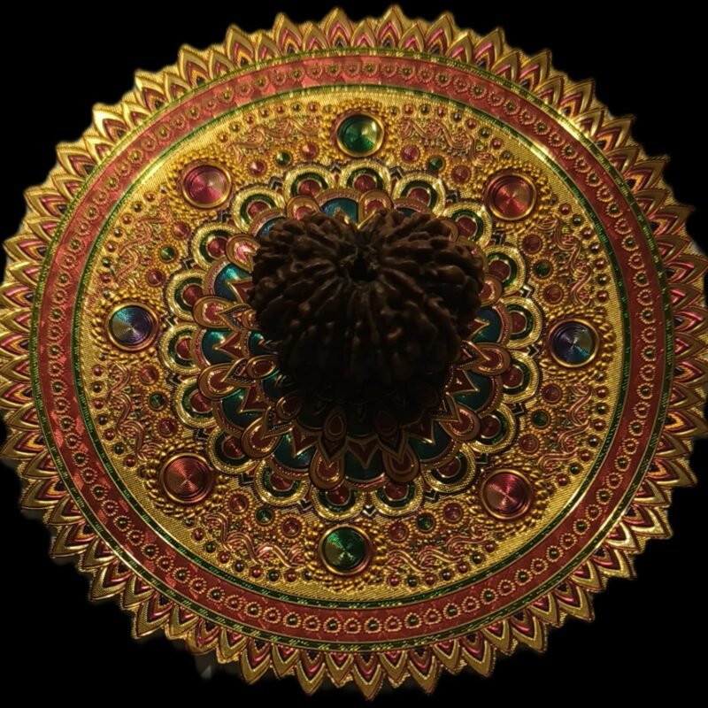 17 Faced Original Nepali Abhimantrit Rudraksha