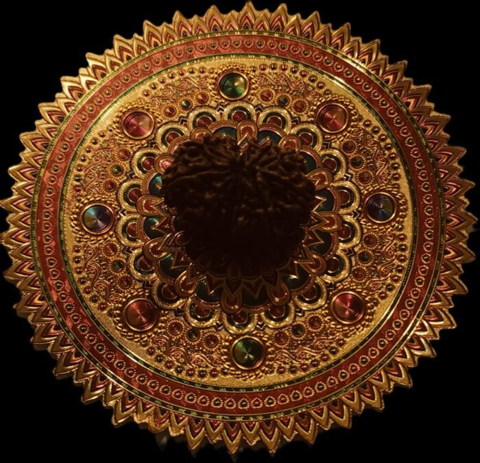 19 Faced Original Nepali Abhimantrit Rudraksha