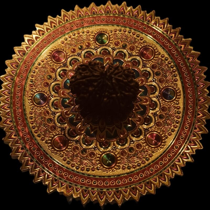 19 Faced Original Nepali Abhimantrit Rudraksha