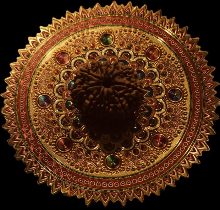 20 Faced Original Nepali Abhimantrit Rudraksha