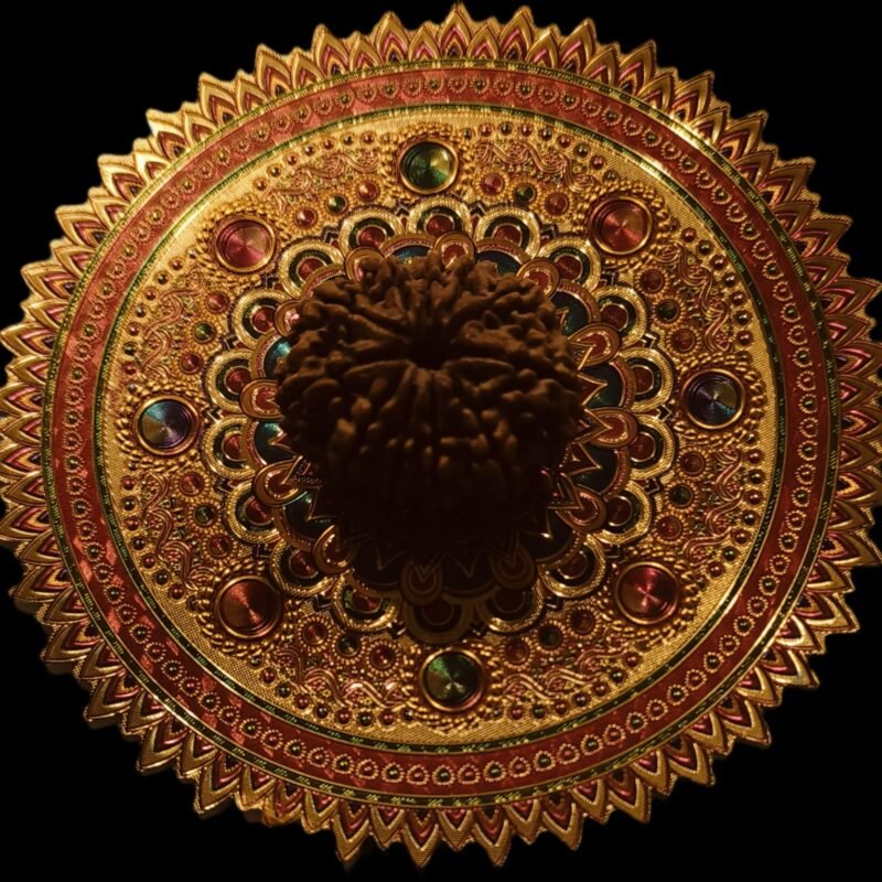 20 Faced Original Nepali Abhimantrit Rudraksha