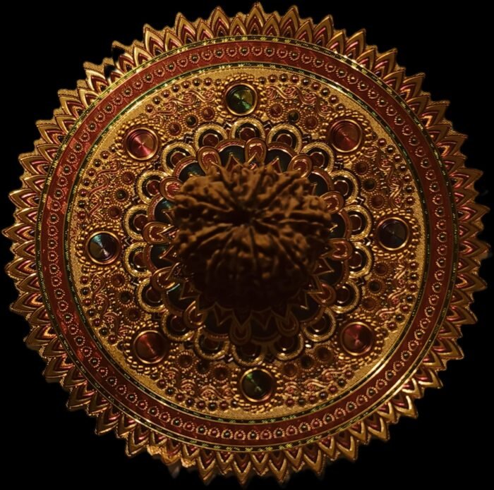21 Faced Original Nepali Abhimantrit Rudraksha