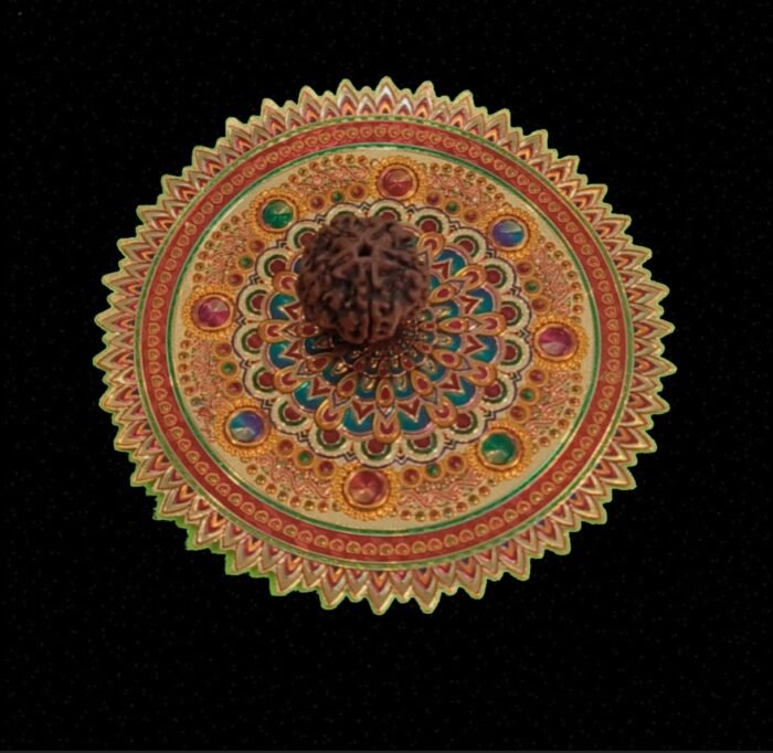 6 Faced Original Nepali Abhimantrit Rudraksha