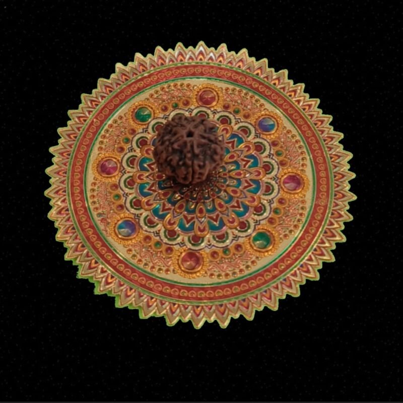 6 Faced Original Nepali Abhimantrit Rudraksha
