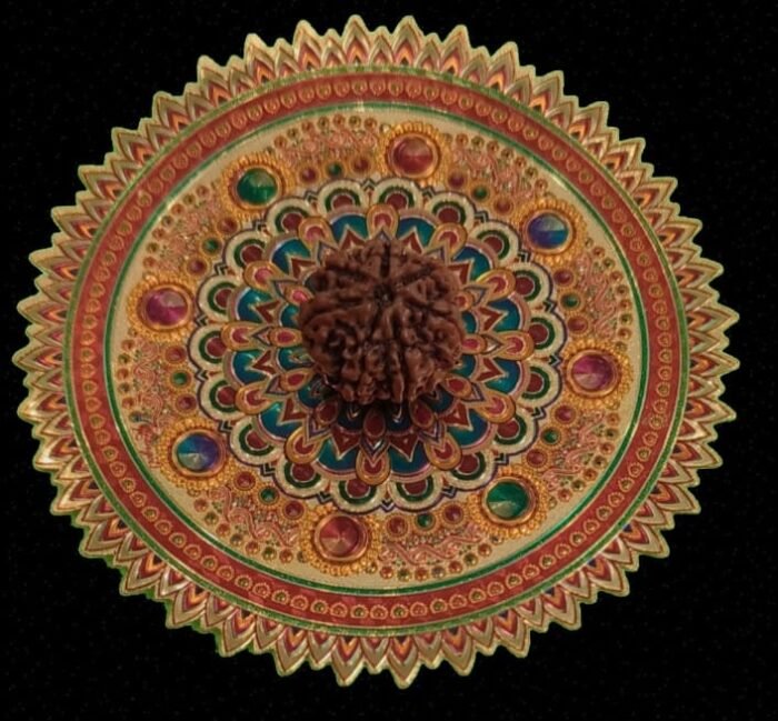 7 Faced Original Nepali Abhimantrit Rudraksha